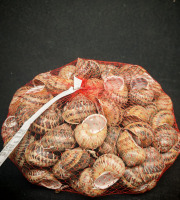 Boucherie Puig - Filet de 100 escargots