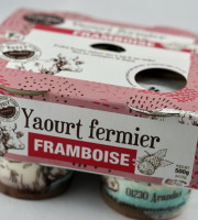 GAEC Les Perce-neige - Pack de 4 yaourts à la framboise x4