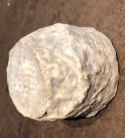 La Guyotte Ferme Bressane - Coffret chèvres de caractère
