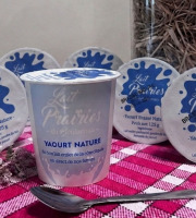 Lait Prairies du Boulonnais - Yaourt nature brassé - 6 x 125g