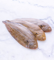 Poissonnerie La Piriacaise - sole 200/300g pièce