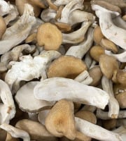 Naturélium - Le shimeji brun 500g