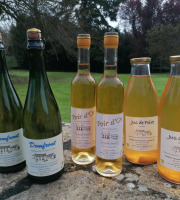 Domaine Fourmond Lemorton - 100% Poire : Poiré Domfront, Jus de Poire et Apéritif  x6