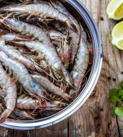 Agriloops - Gambas de Bretagne 500g (calibre 30-50)