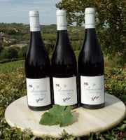 Domaine Doudeau-Leger - Sancerre Rouge AOC 2023 - 3 Bouteilles