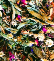 La Cabane à plantes - Infusion La Savoureuse