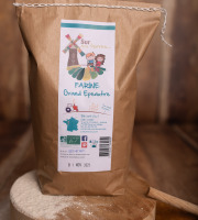 Sur Nos Terres - Farine grand épeautre BIO 5 kg