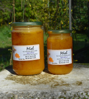 La Truite du Mézenc - Miel de Pissenlit - 500g