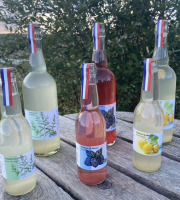 Ferme Sinsac - [Précommande] Pétillant de Fraise et Rhubarbe sans alcool