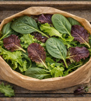 Nature et Saveurs - Ferme Aquaponique et Permacole Astérienne - Salade fermière en mesclun – prête à consommer