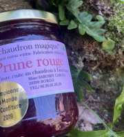 Terroirs de Corse - Confiture Prune rouge Corse