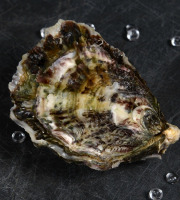 Camargue Coquillages - Huître N°000 - 1 kg