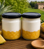 Gaec de l'Elanion - Lot de 2 Fromage Blanc Ananas