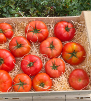 Le Châtaignier - Tomates à farcir - 1kg