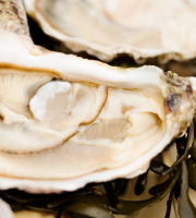 Huîtres Prat-Ar-Coum Alain Madec - Huîtres creuses PRAT-AR-COUM  50 N° 1