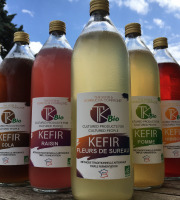 TK Bio - The Kefir et Kombucha Compagnie - Pack Boissons probiotiques 3 x 1 litre BIO