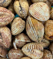 Brest Marée - Praires de la Baie de Saint-Brieuc - 1kg