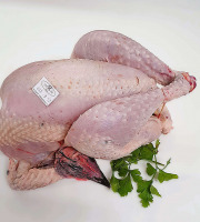 Ferme de la Paumerais - POULET DE LA FERME (x3) - 1,7 Kg