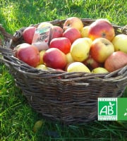 LES JARDINS DE KARINE - POMMES "visitées"-en mélange-5kg