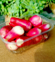 Nature et Saveurs - Ferme Aquaponique et Permacole Astérienne - Radis Mélange Sans Fanes — croquant prêt à cuisiner