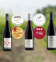 Domaine de la Chopinière du Roy - Coffret cadeau "A la découverte des vins rouges de Loire "- 3 x 75 cl