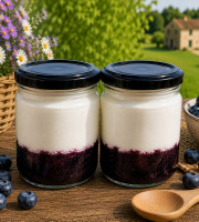 Gaec de l'Elanion - Lot de 2 Fromage Blanc Myrtilles