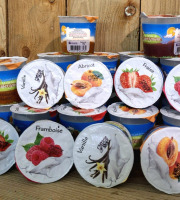 La Ferme de Labergement - Lot de 24 fromages blanc sur lit de fruits