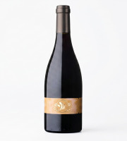 Domaine la Paganie - Vin élevé en Amphore ( LA TERRE ) x 1