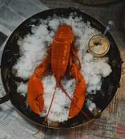 Thalassa Tradition - Homard Cuit Normandie - 800/1000g - 1 pièce