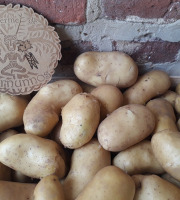 Ferme de Cernunnos - pommes de terre "Charlotte" - 5 kg