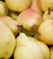 Maréchal Fraicheur - Poires William’s jaunes - 1 kg