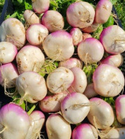 La Ferme de Goas Per - Navet bio - 1kg