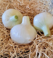 Les Jardins de Gérard - Oignon doux Cénol Bio - 1 kg