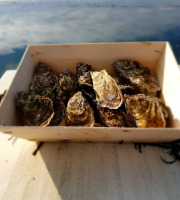 Huitres Damerose - Huitres naturelles de la Ria d'Etel n°1 - 1 douzaine