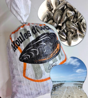 Le Termer - Moules de bouchot PAC 5Kg