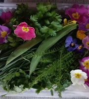 Rébecca les Jolies Fleurs - Bouquets sauvages comestibles
