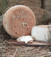 La ferme Lassalle - Fromage de Brebis AOP Ossau-Iraty Fermier de Printemps Boule Entière - 6 mois - 4,8kg