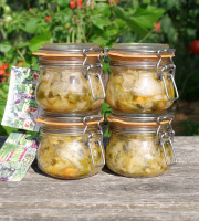 Le champ des Mêlés - Lot de 4 bocaux Kimchi bio lacto-fermentés de 250g