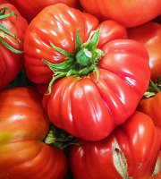 Ferme Joos - Tomates Coeur de boeuf