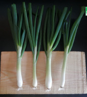 Ferme de Carcouet - Oignon nouveaux Bio - 250 g