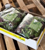 Agriloops - Mélange de jeunes pousses savoureux – 2 × 500 g