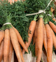 Le Châtaignier - Carottes Botte - 500g