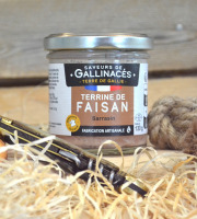 Terre de Gallie - Terrine de faisan au sarrasin x 20
