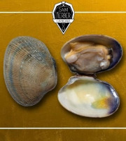 Saint Kerber - Palourdes - calibre Grosses - 3 kg 