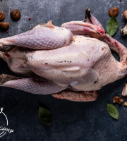 LA FERME DE COLLONGE - DINDE NOIRE FERMIERE PRET A CUIRE