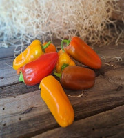 Les Jardins de Gérard - Mini poivrons Bio - 250 grammes