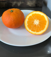 Le Jardin des Antipodes - Orange Douce Variété Ancienne