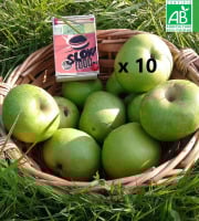 LES JARDINS DE KARINE - Pommes vertes à pectine - 10kg