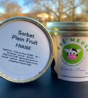 Glaces de Meuse - Lot P'tit Pot "Fraise" - Sorbet PF (90gr)