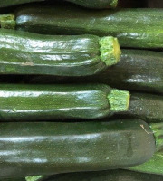 Maison Quéméner - Courgette longue verte x 5 kg